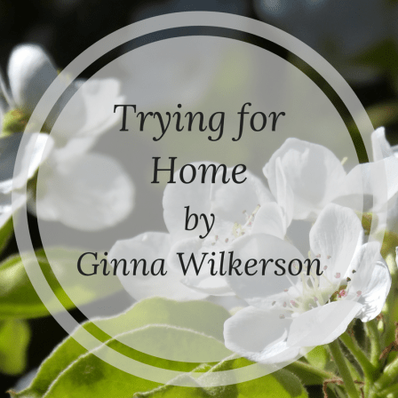 Issue 7 - Fiction (1)