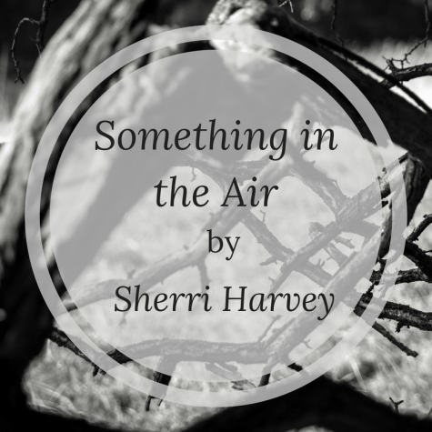 Issue 9 - Nonfiction (3)