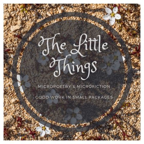 The LittleThings