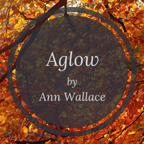 Issue 14 - Poetry (1)