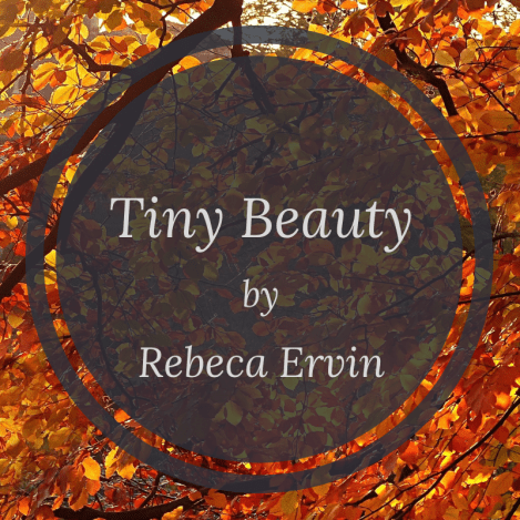 Issue 14 - Poetry (2)