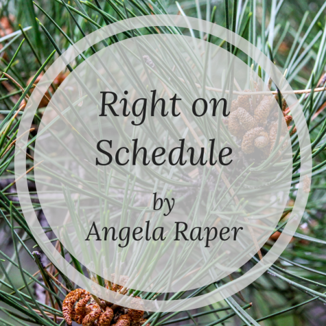 Issue 16 - Fiction (4)